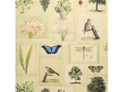 Tapeta FLORA AND FAUNA PARCHMENT, kolekce PICTURE BOOK PAPERS