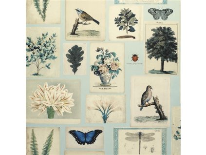Tapeta FLORA AND FAUNA CLOUD BLUE, kolekce PICTURE BOOK PAPERS