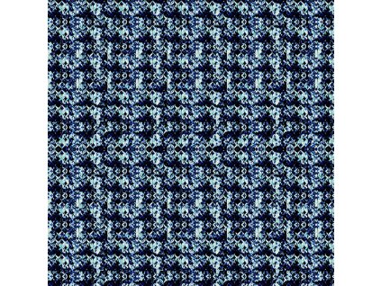 DEV WP NFFONBL