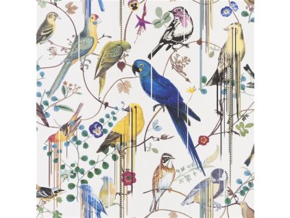 Tapeta BIRDS SINFONIA - PERCE NEIGE, kolekce HISTOIRES NATURELLES