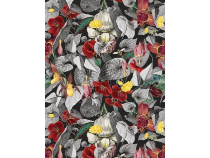 cf 200340 gardenia 212x280 web 1