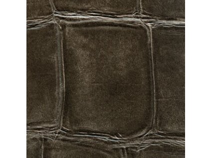 VP 423 31