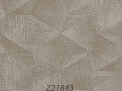 Z21843