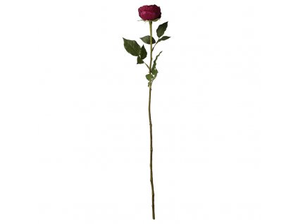 LB A00002733