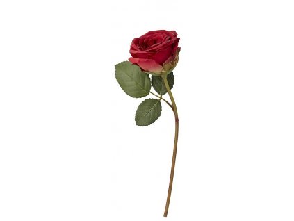 Růže FLORA 20 cm červená