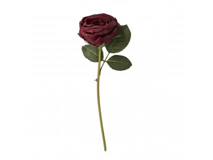 Růže FLORA 20 cm tmavě červená
