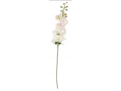 Delphinium světle růžový květ, výška 95 cm