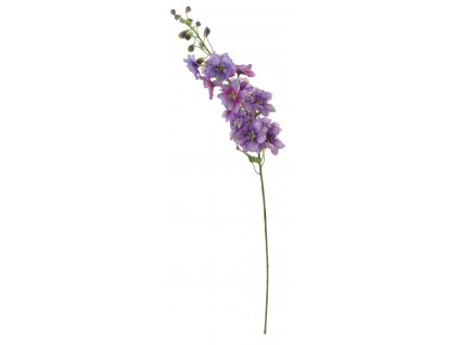 Delphinium fialový květ (Stračka), 95 cm
