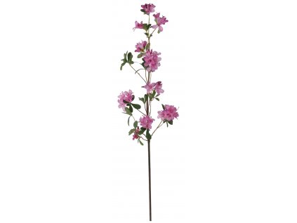 Růžová azalea 105 cm