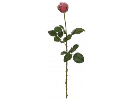 Tmavá růže 66 cm
