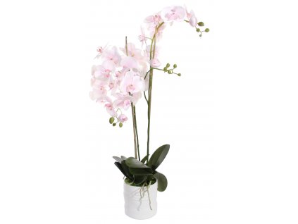 Orchidej (Phalaenopsis) s květináčem světle růžová, 90 cm