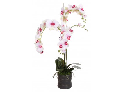 Fialová-bílá orchidej s květináčem 90 x 40 cm