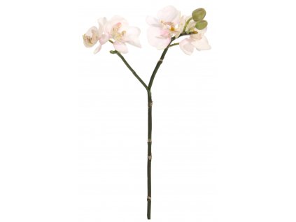 Růžová orchidej 30 cm