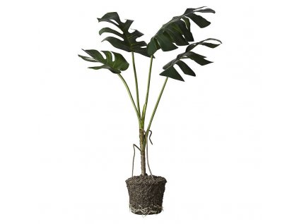 Monstera s balem FLORA, 86 cm