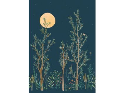 Tapeta MIDNIGHT WALK 6520 z kolekce LANDSCAPE