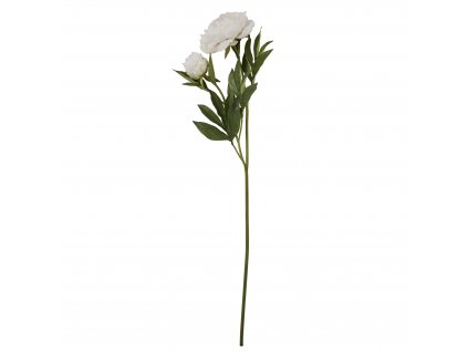 LB A00010875 poupe