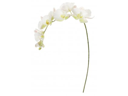 Zeleno-bílá orchidej 110 cm