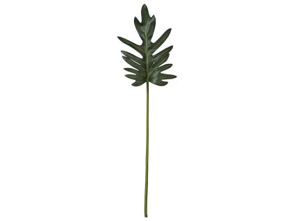 LB A00001937