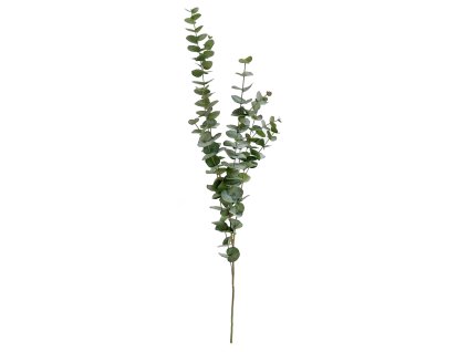 Větvička eukalyptu 120 cm