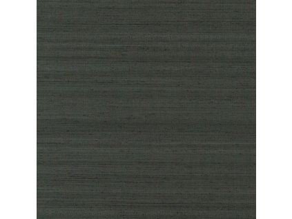 DG PDG1119 14