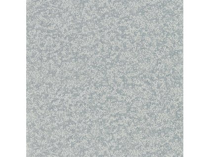CORAL 111871