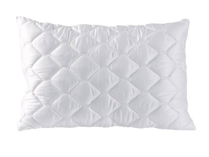 CHF SCHAFFHAUSEN 8086