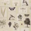 Tapeta FLORA AND FAUNA CANVAS, kolekce PICTURE BOOK PAPERS