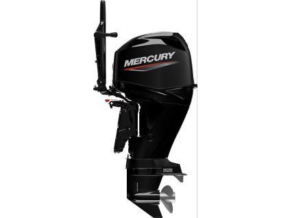 1 motor mercury 50 elhpt efi 3121