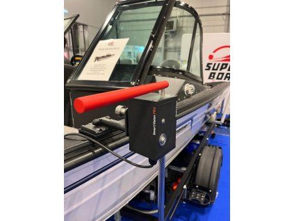 3 smart vision pro 3955