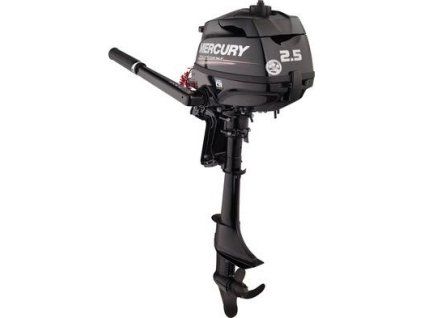1 motor mercury f 25 m