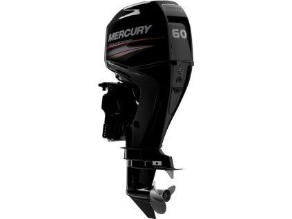 1 motor mercury 60 elpt efi bigfoot