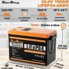 2 24v100ah bateria lithium n 2142