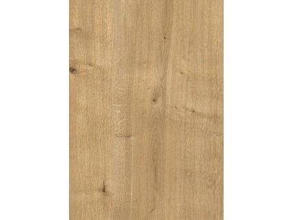 29d5ca0c 1075 4415 abee c8b55322d716 lrg