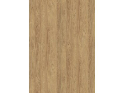 79df52e8 76e2 402d b512 00b6d097ab76 lrg