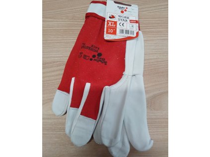 24e57f8d b51f 4e1b b7b3 4600e0f05f17 lrg