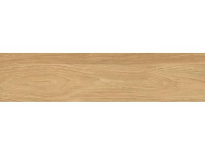 7f15016e 57f3 48b5 b04d 9748ece7769e lrg