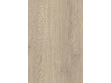 8164f484 6b6c 4513 9ebb 2eb6d5198c22 lrg