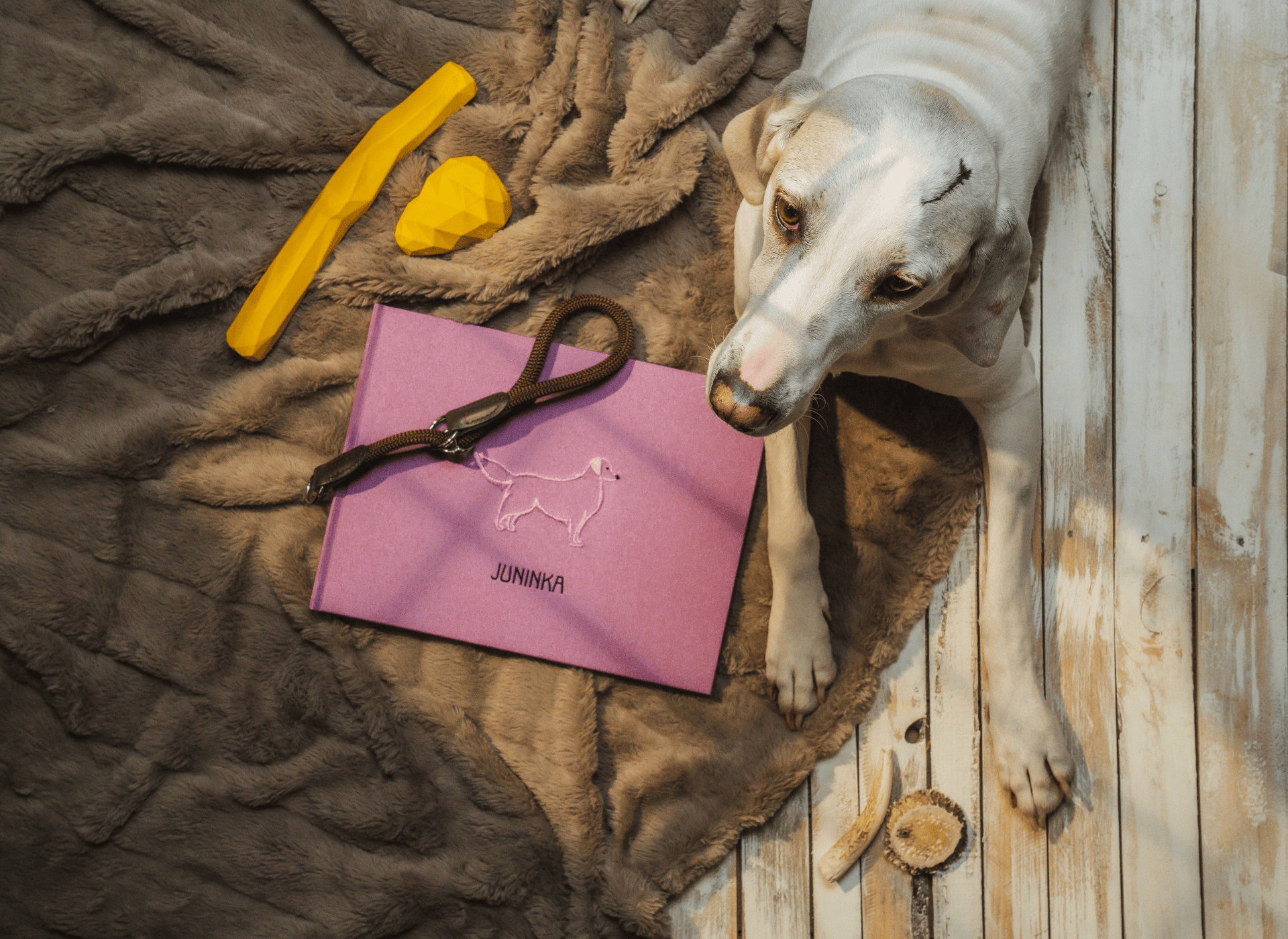 Podzimní sleva 10 % na všechna fotoalba a knihy hostů 🍂