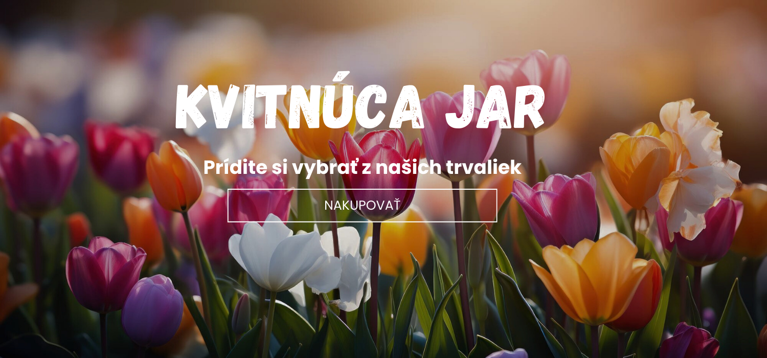 Jar