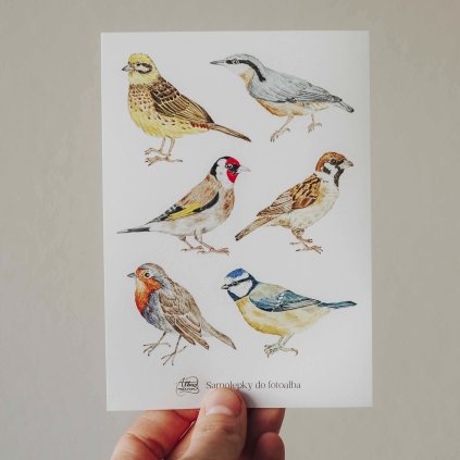 samolepky ptáčci ikona