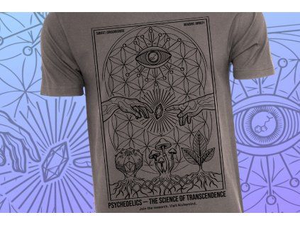 TRANSCENDENE šedé alchemind 2