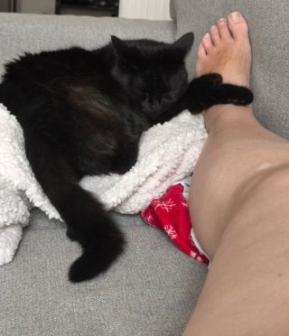 Naše domácí pohoda ... 🩷🐈‍⬛ Někdy prostě potřebuješ jen lehnout a relaxovat. Jak často si takový okamžik dovolíš ty?...