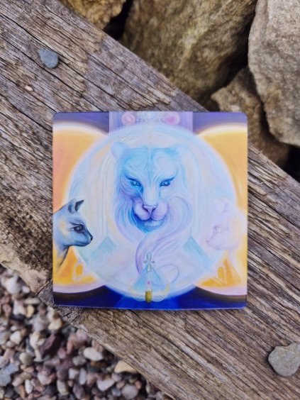 f34d9419 0520 412c a284 028f92f0452d