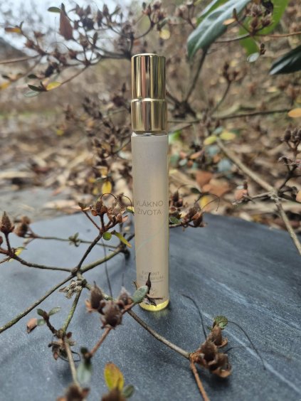 e7fbd1fc fa4e 4922 8b9e b39a9627aa92