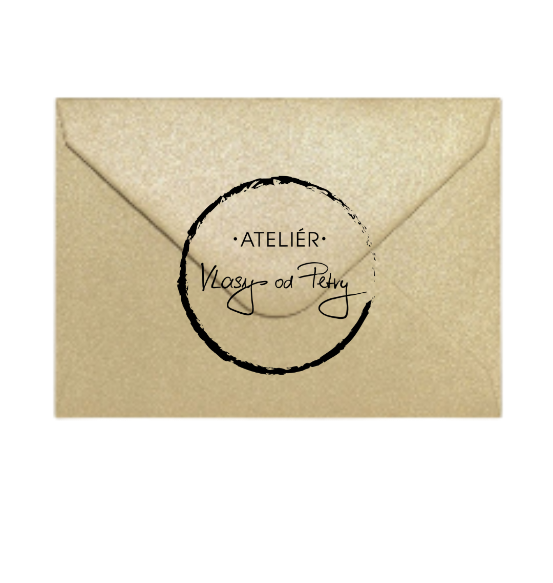 THE SECRET APPOINTMENT