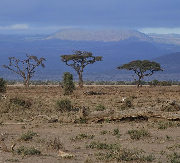 Kenya