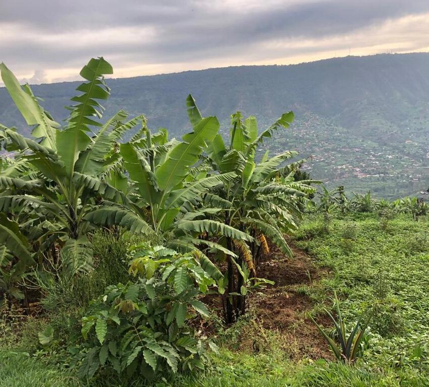 Rwanda
