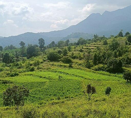 India