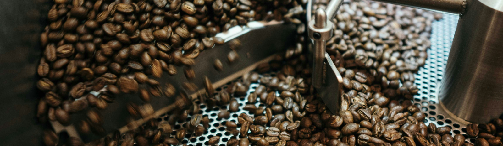 Alegre Café Roasters
