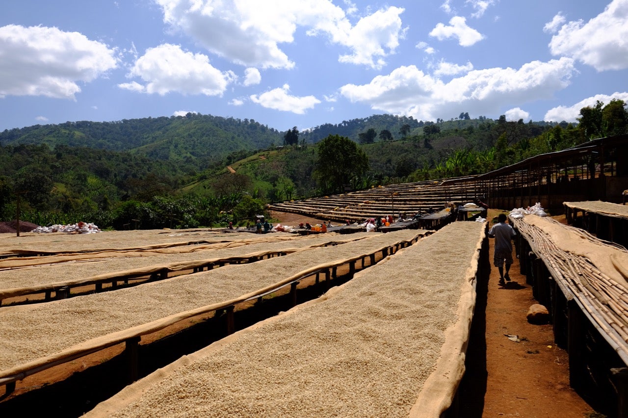 Worka Chelichele washing station